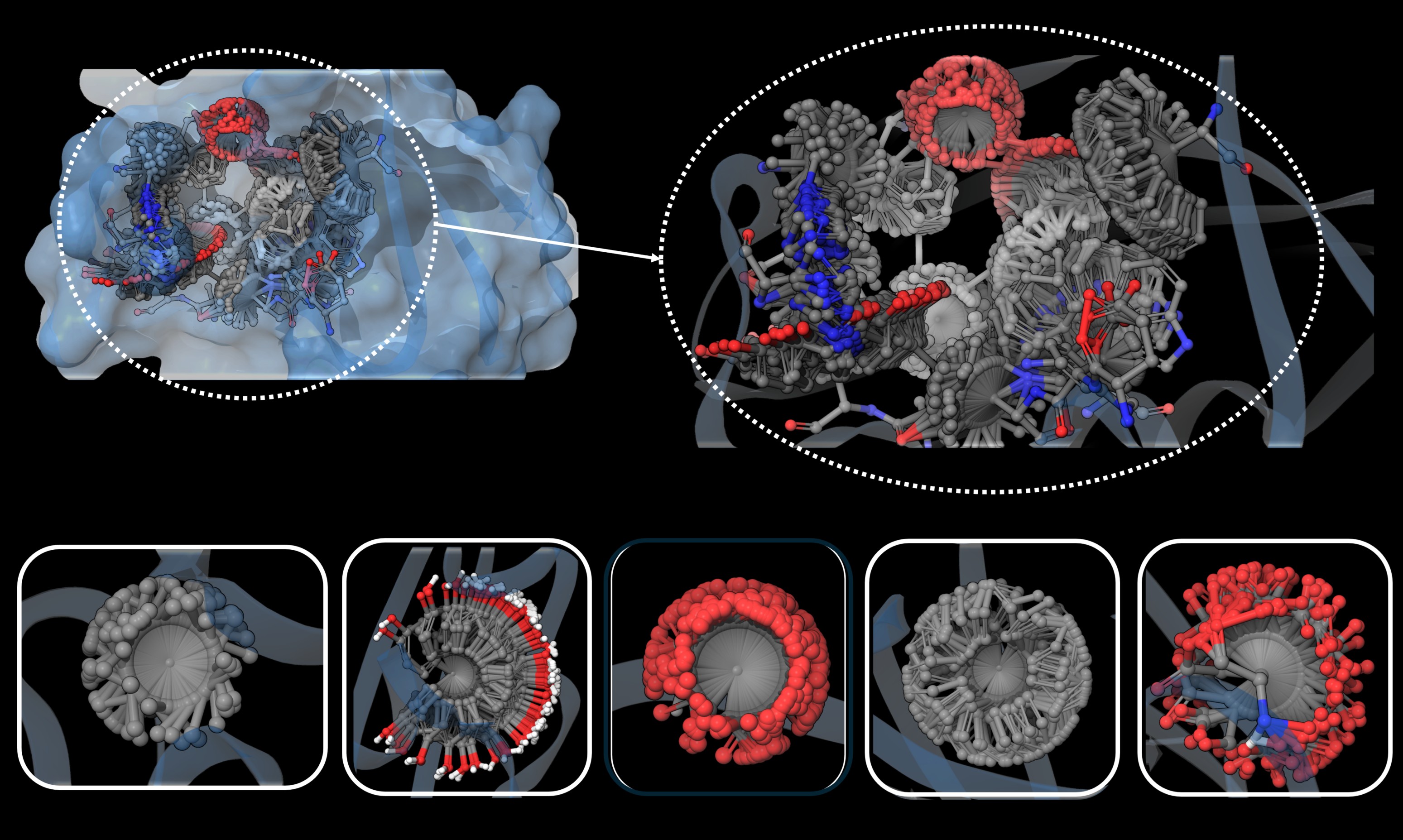 DGRSCROLL Molecular Analysis